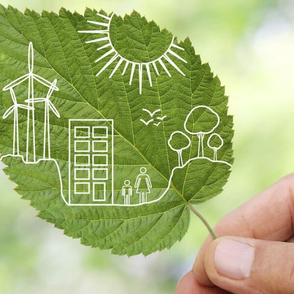 Sustainable Food Companies