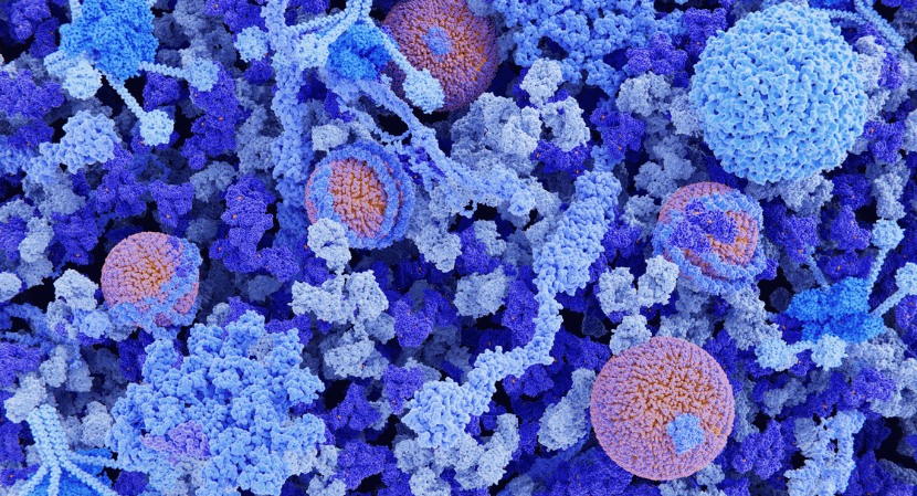 Immunoglobulin Market