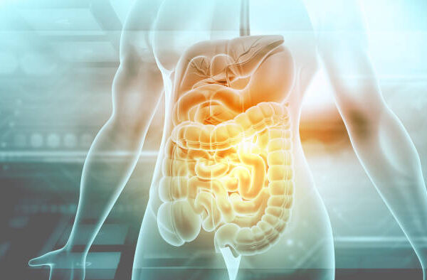 wellhealthorganic simple ways to improve digestive system in hindi