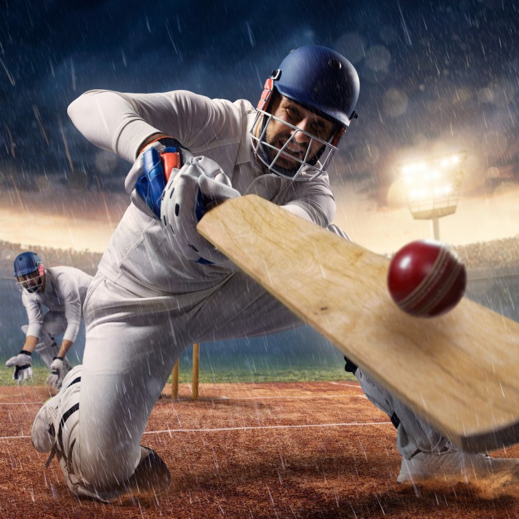 cricket ID