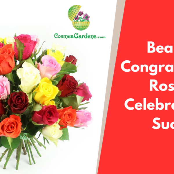 congratulations roses