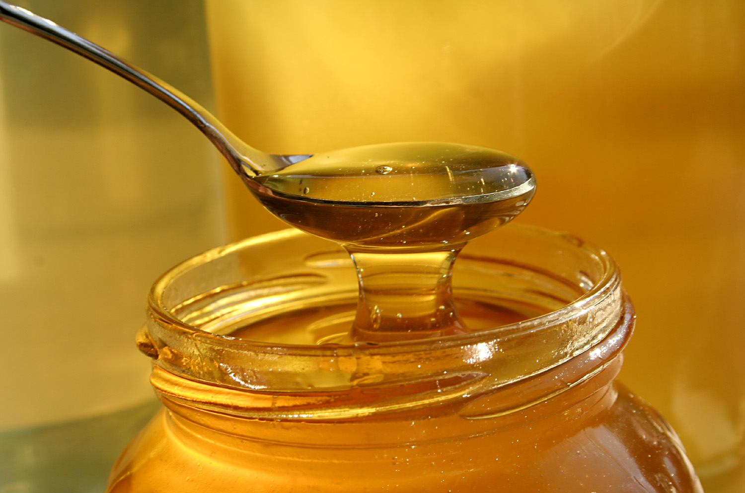 Buy Pure Sidr Honey Affordable Prices and Health Benefits