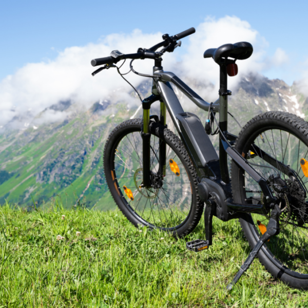 Mountain Bikes