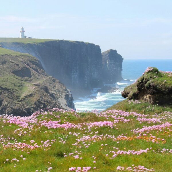 Cliffs of Moher