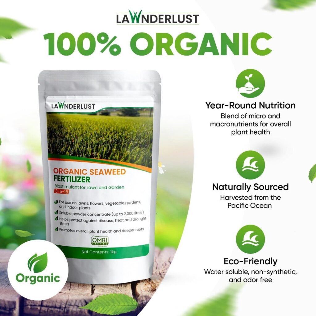organic seaweed fertilizer