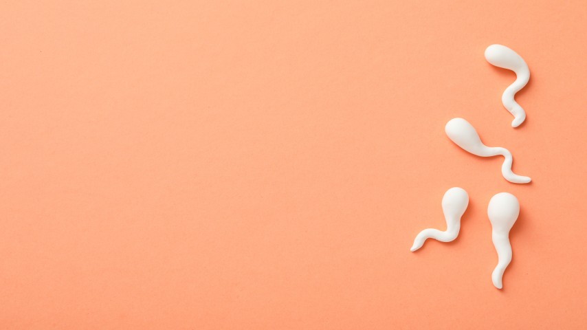 Sperm Count | How to Increase Sperm Count