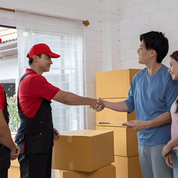 Furniture Removalists
