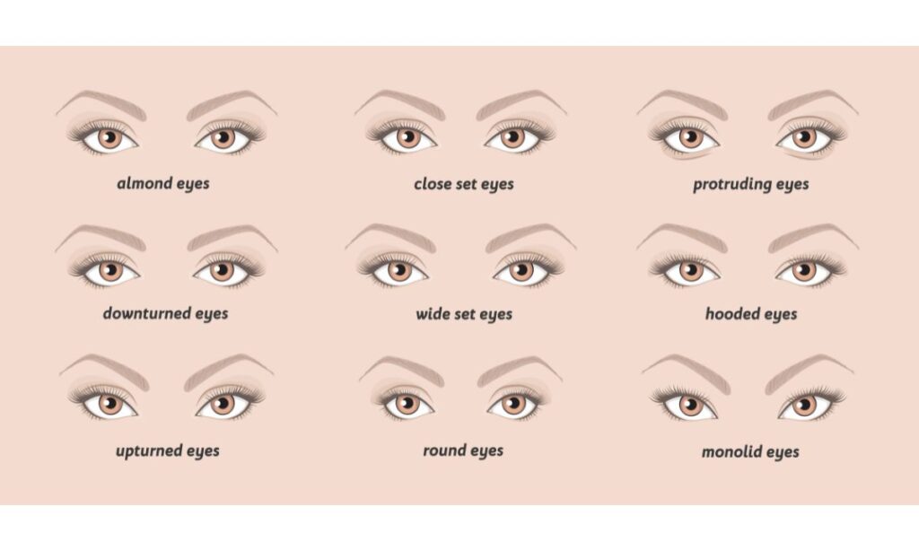 Understanding Your Eye Shape
