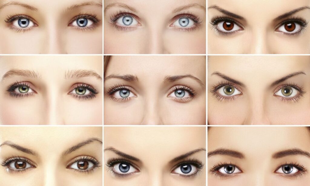Customizing Your Look for Different Eye Shapes