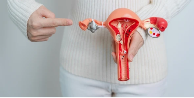 Ovarian Rejuvenation in Mumbai