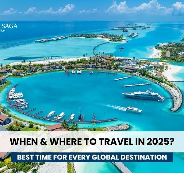 International tour Packages