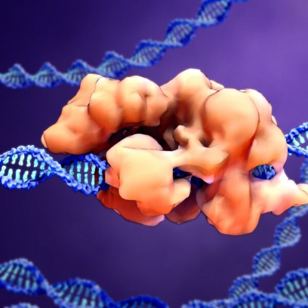 CRISPR Technology