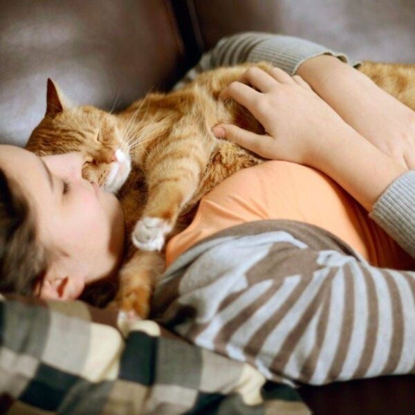 Cat Sitter in New York